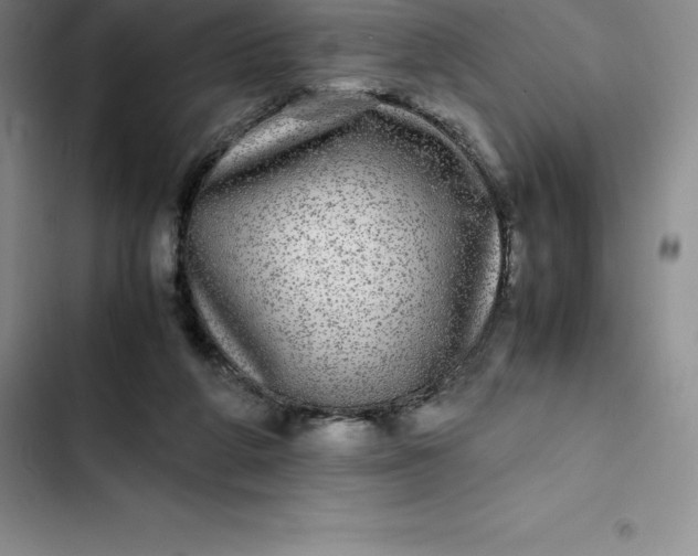 X0000102520210200808221849