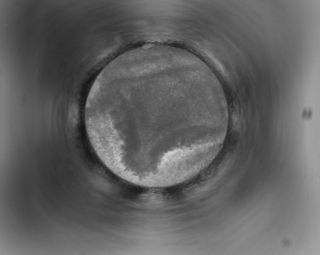 X0000102520211200808221849