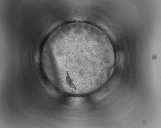 X0000102520212200808221849