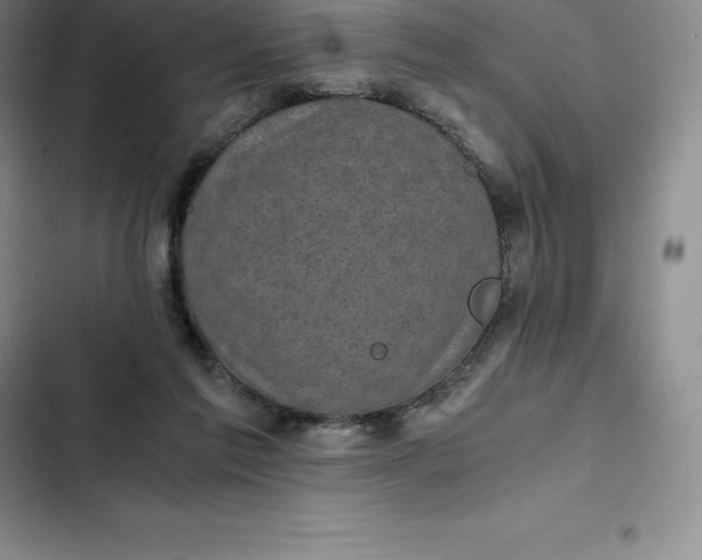 X0000102520213200808221849