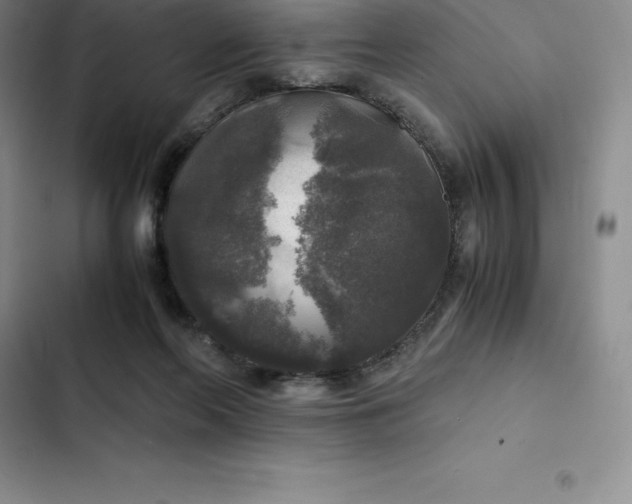 X0000102520214200808221849