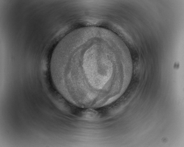 X0000102520215200808221849