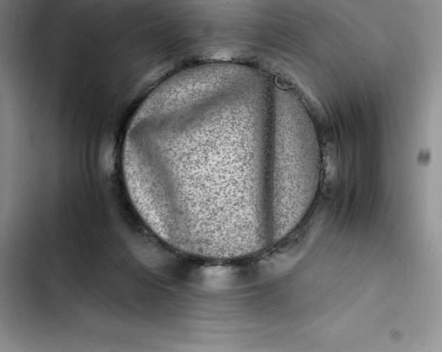 X0000102520216200808221849