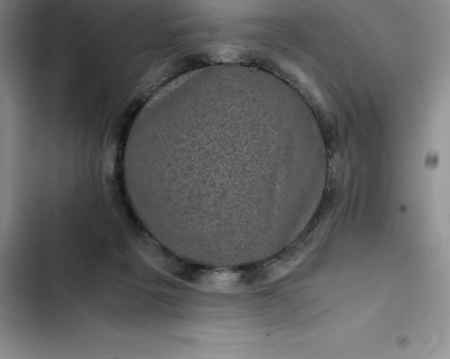 X0000102520217200808221849