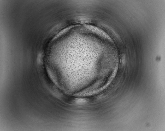 X0000102520218200808221849