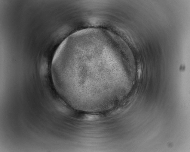 X0000102520220200808221849