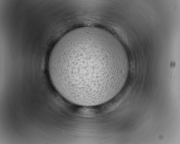 X0000102520221200808221849