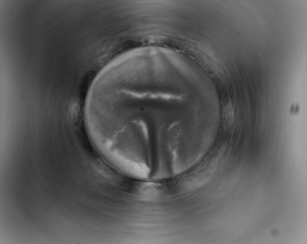 X0000102520222200808221849