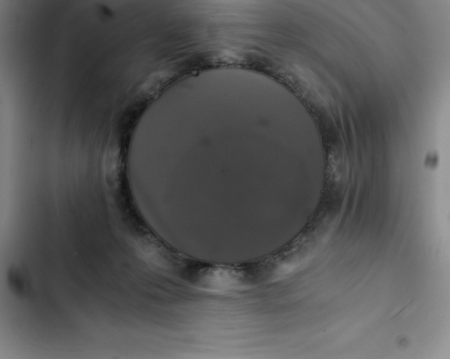 X0000102520223200808221849