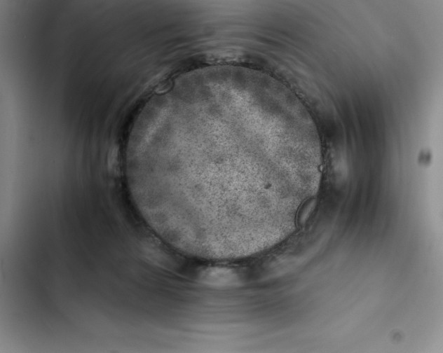 X0000102520224200808221849