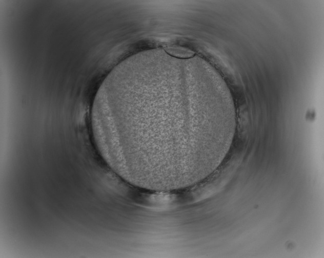 X0000102520225200808221849