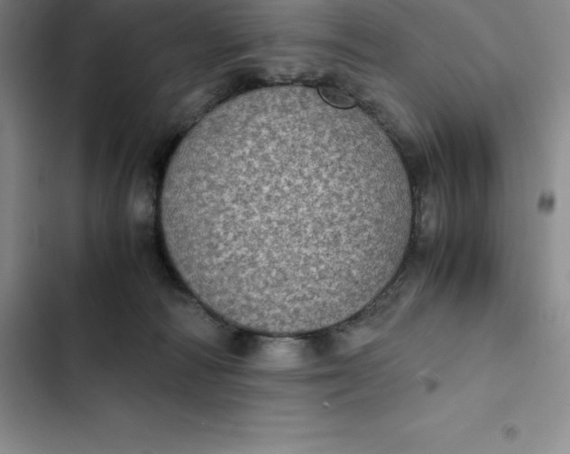 X0000102520226200808221849