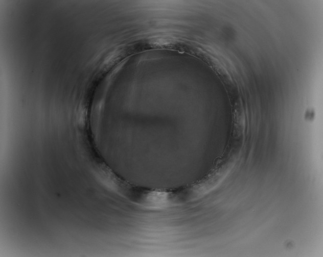 X0000102520227200808221849