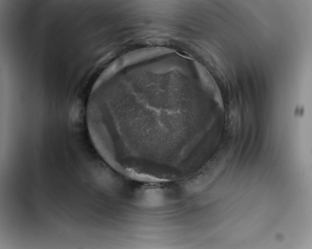 X0000102520228200808221849