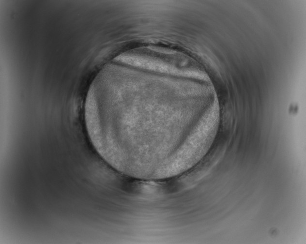 X0000102520229200808221849