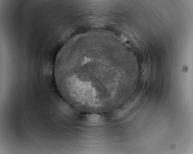 X0000102520230200808221849