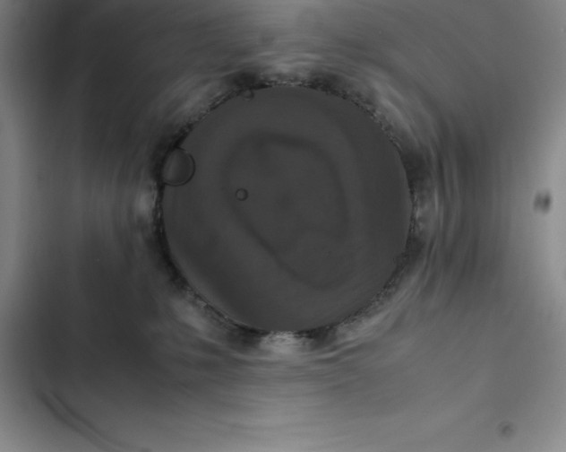 X0000102520231200808221849