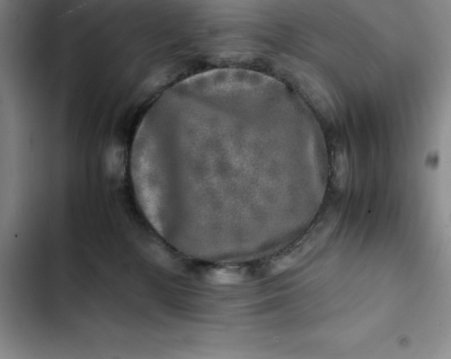 X0000102520232200808221849