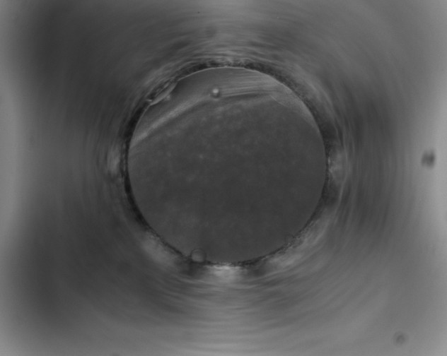 X0000102520233200808221849