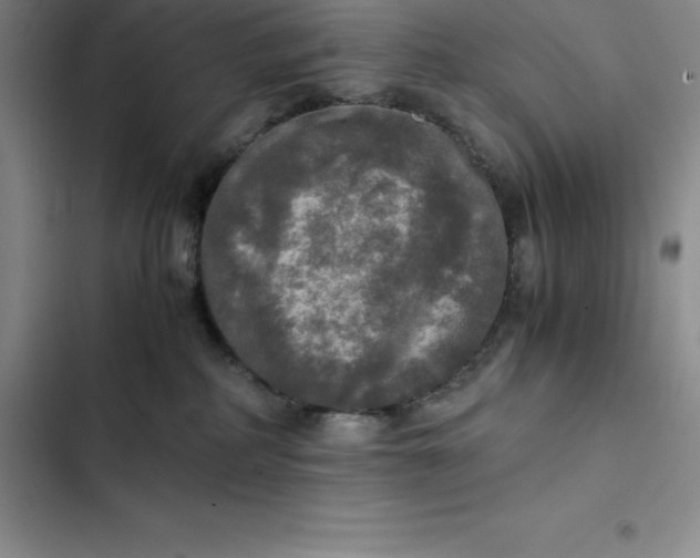 X0000102520234200808221848