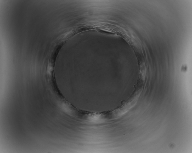 X0000102520235200808221848