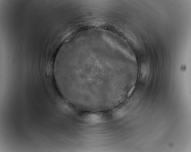 X0000102520236200808221848