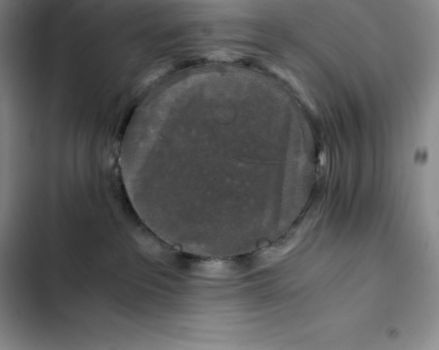 X0000102520237200808221848