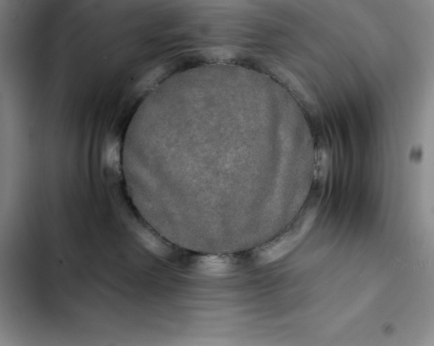 X0000102520238200808221848