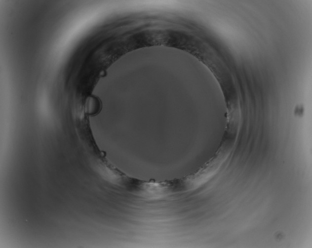 X0000102520239200808221848