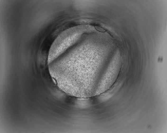 X0000102520240200808221848