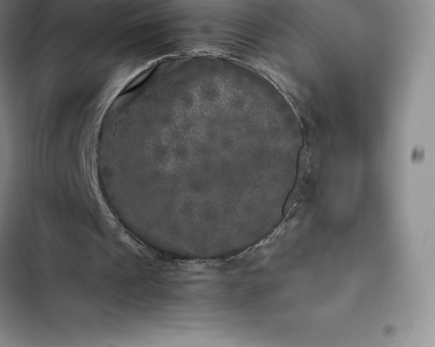 X0000102520241200808221848