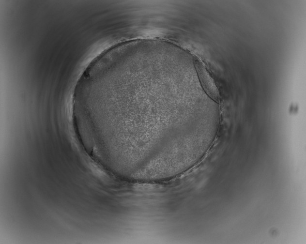 X0000102520242200808221848