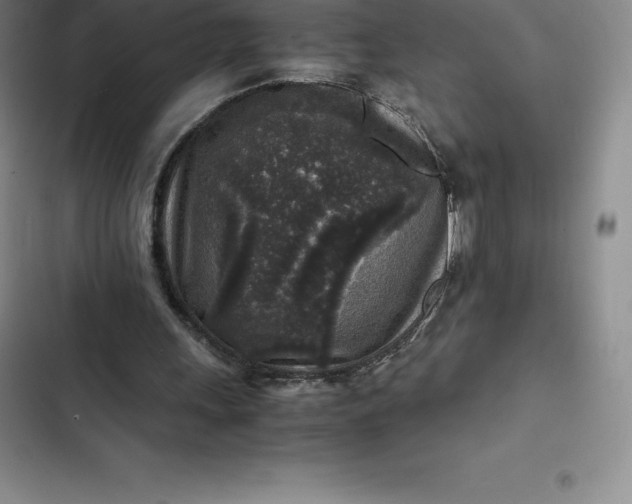 X0000102520243200808221848