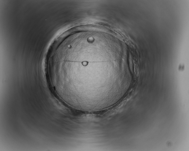 X0000102520244200808221848