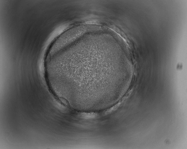 X0000102520245200808221848