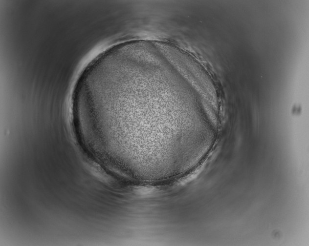 X0000102520246200808221848