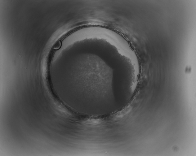 X0000102520247200808221848