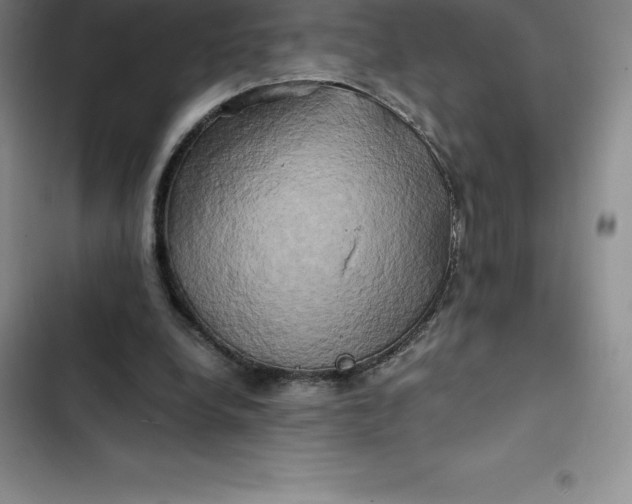 X0000102520248200808221848