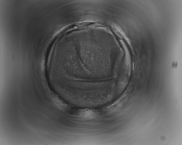 X0000102520249200808221848