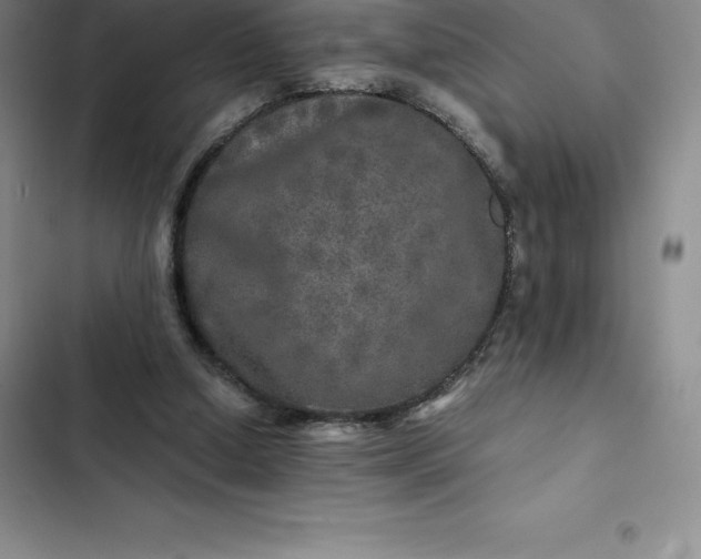 X0000102520250200808221848