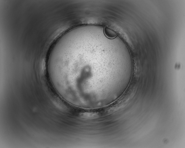 X0000102520251200808221848