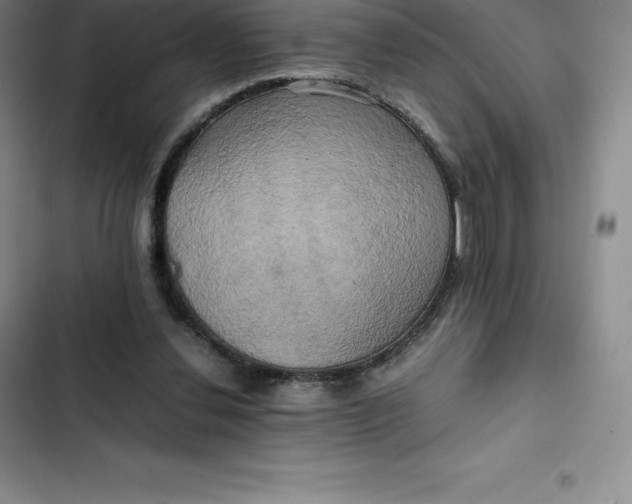 X0000102520252200808221848