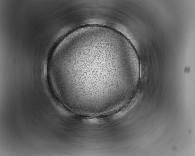 X0000102520253200808221848