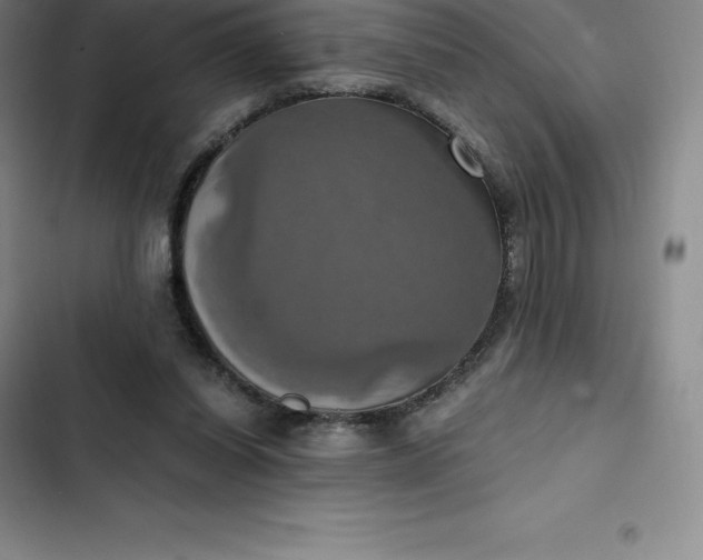 X0000102520254200808221848