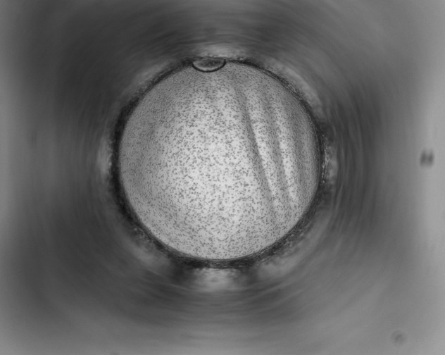 X0000102520255200808221848