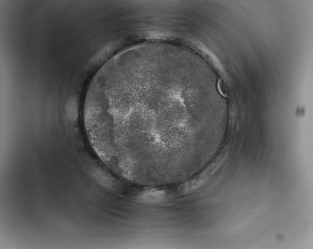 X0000102520257200808221848