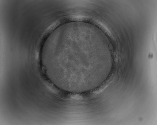 X0000102520258200808221848