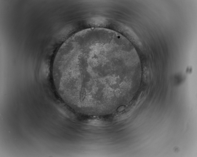 X0000102520259200808221848