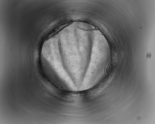 X0000102520260200808221848