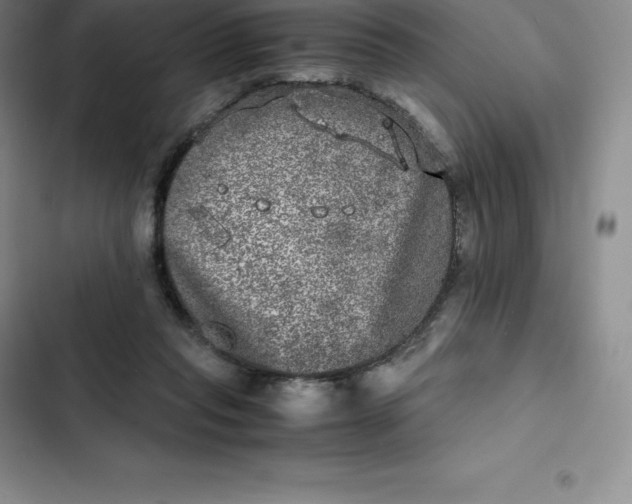 X0000102520261200808221848